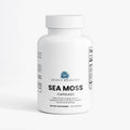 Sea Moss